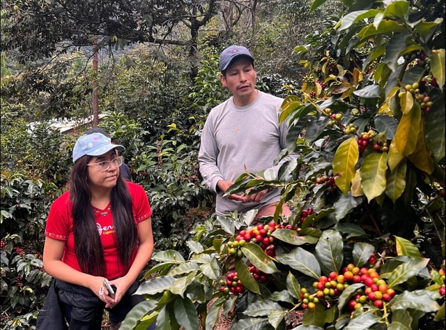 From Cusco: Coffee Farm Tour & Q Grader-Led Cupping Lab