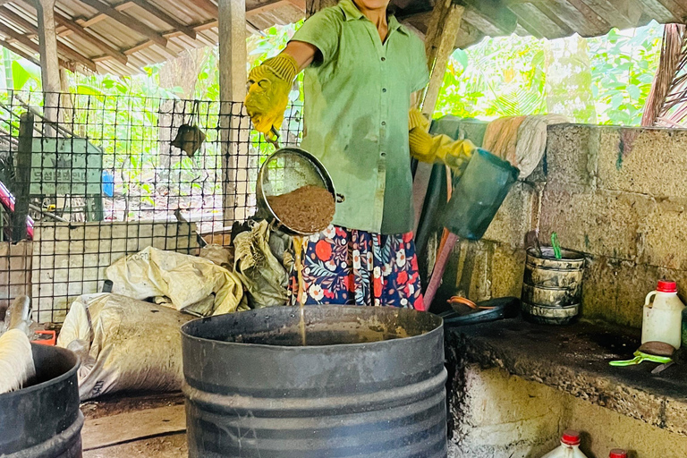 Unawatuna : Traditional Weaving Experience tour with Pickup