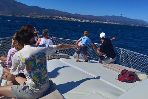 Estepona: Dolphins Searching Sea Cruise with Drink & Snacks Group Cruise