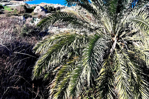 Gozo Unveiled: Guided Hiking Tour with Bouldering