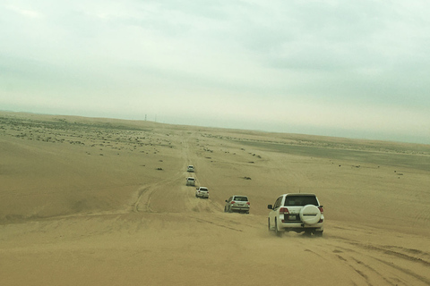 Relax Desert Safari, Sand Dune Bashing (Private Safari)