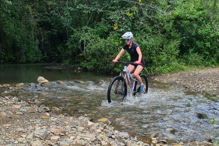 Oaxaca: Bike Tour with Visit to Monkey Tree & Bread Maker