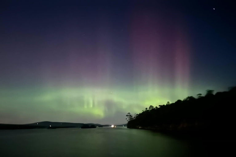 Hobart: Sea to Sky Night Cruise with Dinner & Welcome Drink