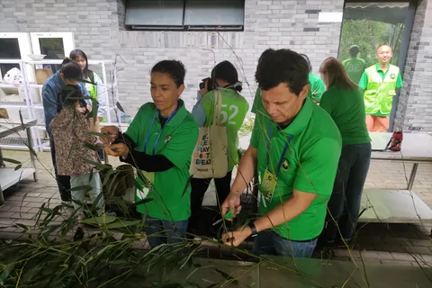 Chengdu: Dujiangyan Panda Volunteer Program with Lunch