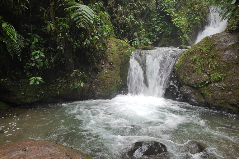 Mindo: &quot;Birds, Chocolate/Coffee and waterfalls&quot;