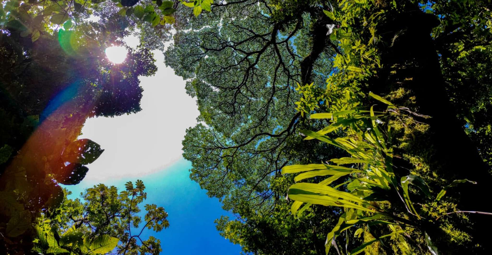 1天之桥+瀑布+火山 - Hizvo