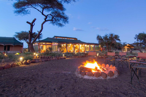 From Nairobi: 11-Day Kenya and Tanzania Wildlife Safari