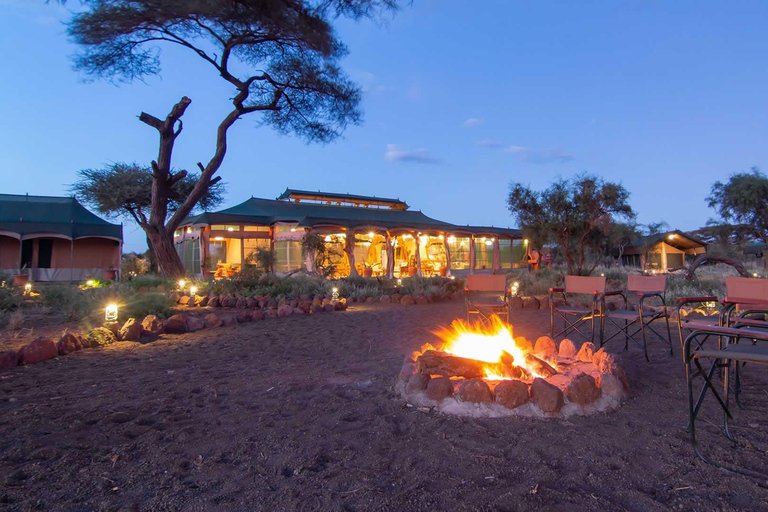 From Nairobi: 11-Day Kenya and Tanzania Wildlife Safari