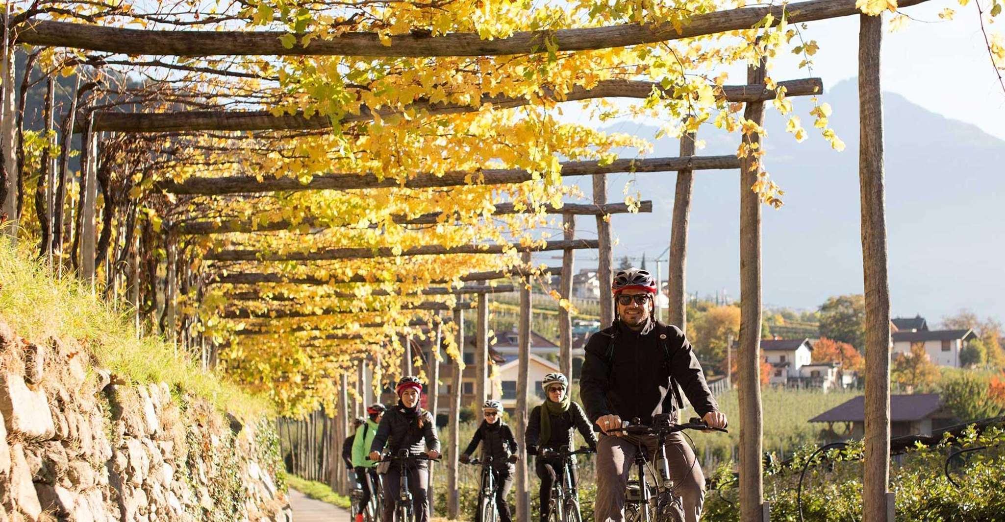 Merano: tour in e-bike con degustazione di vini e pranzo