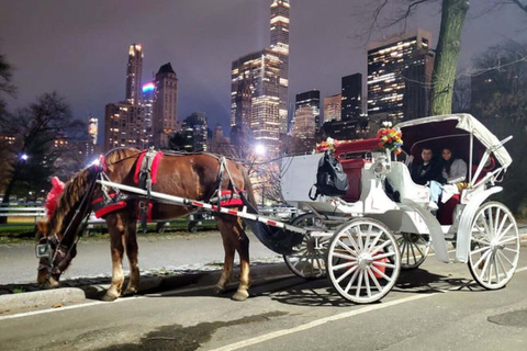 NYC Private Central Park Horse Carriage Ride with Guide NYC VIP Christmas Light Horse Carriage Ride