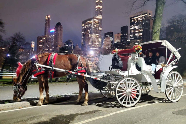 NYC Private Central Park Horse Carriage Ride with Guide NYC VIP Christmas Light Horse Carriage Ride
