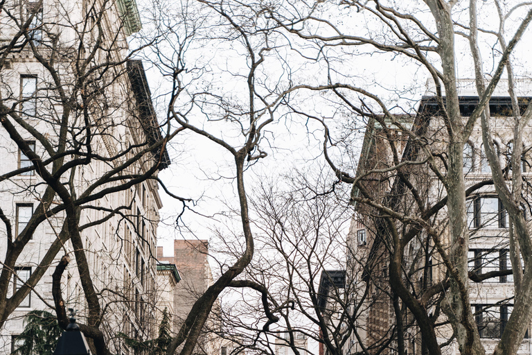 Nueva York: El Greenwich Village secreto con un lugareño