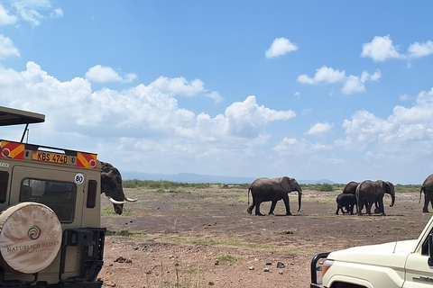 Nairobi: Amboseli National Park Tagestour mit PirschfahrtenSolo Nairobi: Amboseli National Park Tagestour