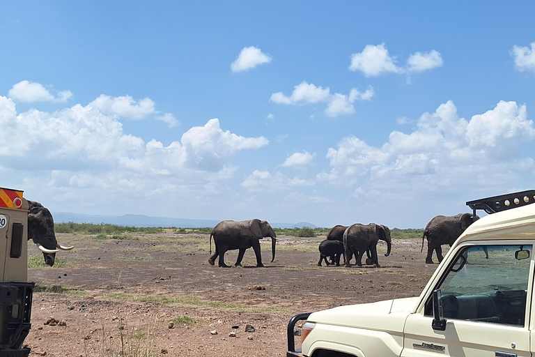 Nairobi: Amboseli National Park Tagestour mit PirschfahrtenSolo Nairobi: Amboseli National Park Tagestour