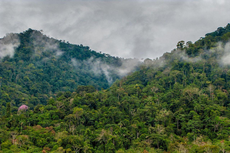 Manu: 7-Day Amazon Wildlife Tour with Jungle Lodges