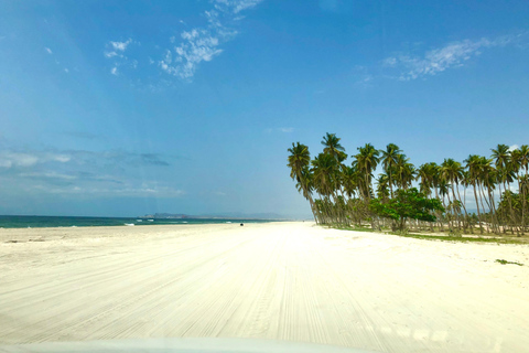 Tour de la ciudad de Salalah: Descubre lo mejor de la joya costera de Omán