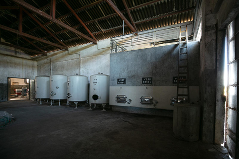 Montevideo: Premium Wine Tasting in a Centennial Winery (1892) Montevideo: Premium Wine Experience at Adega Centenária
