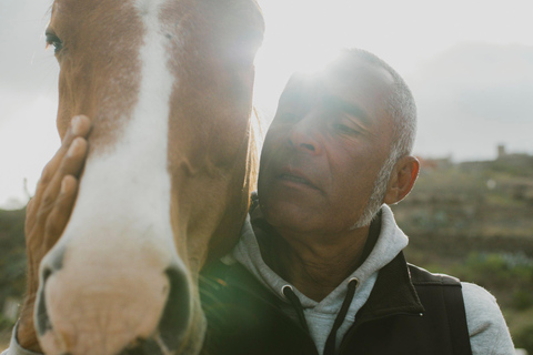 Gran Canaria: Transformative Experience with Horses: Connect and Enjoy Session Groups 5 to 10 people