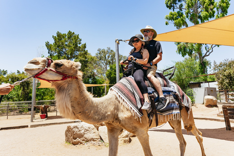 Zoo de Phoenix : billet d'admission générale d'un jour