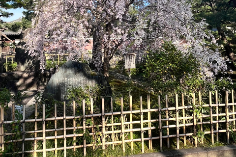 Japon : visite culinaire de 6 jours avec un chef à Tokyo et Kyoto