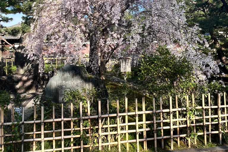 Japon : visite culinaire de 6 jours avec un chef à Tokyo et Kyoto