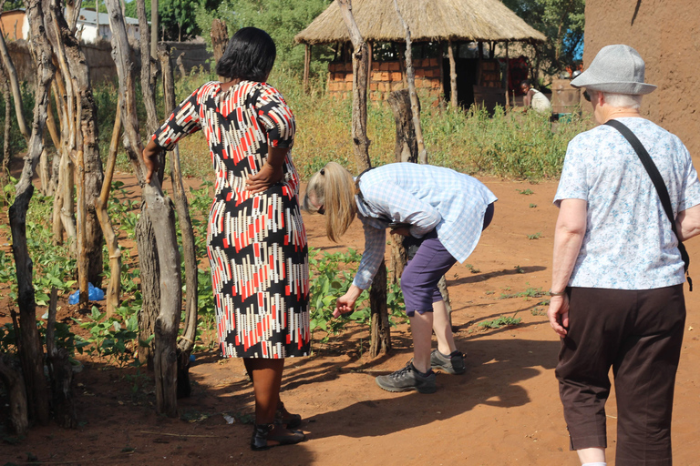 From Livingstone: Chobe National Park Safari & Village Tour