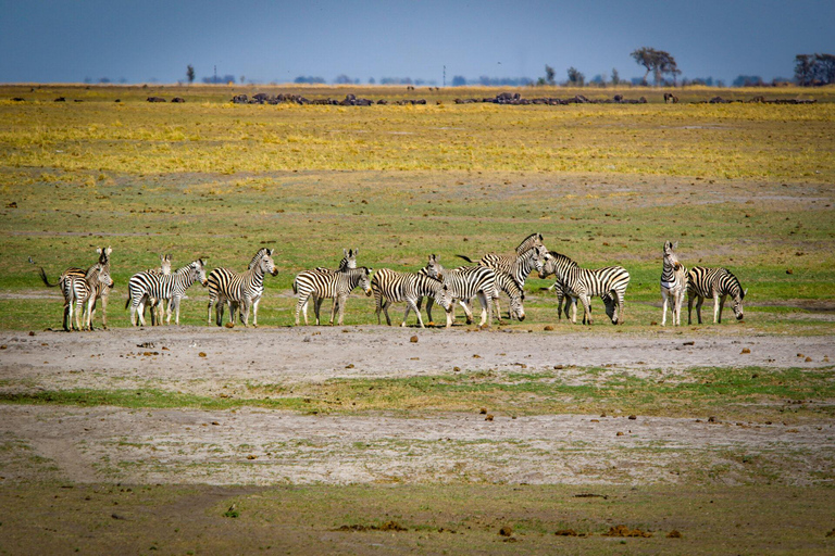 Victoria Falls: Chobe National Park Safari & Dinner Show
