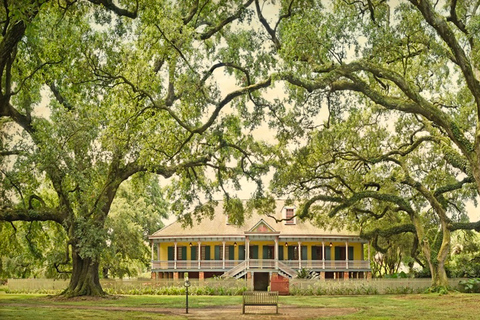 New Orleans: Oak Alley or Laura Plantation & Airboat Tour