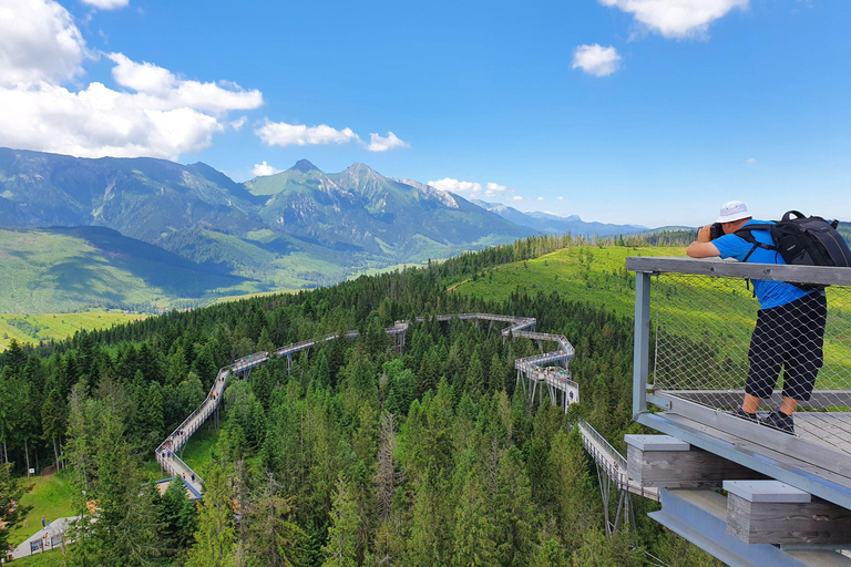 from Zakopane: Treetop Walk and Štrbské Pleso Trip