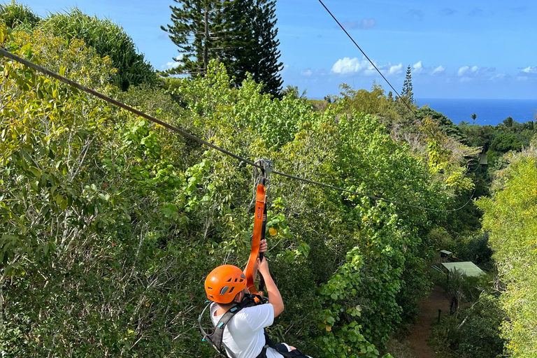 Alanya: Excursión en rafting, con opciones de tirolina y safari en buggyRafting+Jeep+Zipline 3en1