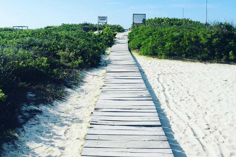 Wycieczka do Ría Lagartos, Coloradas i Playa CancúnitoMerida: Wycieczka na plażę Ria Lagartos, Coloradas i Cancunito