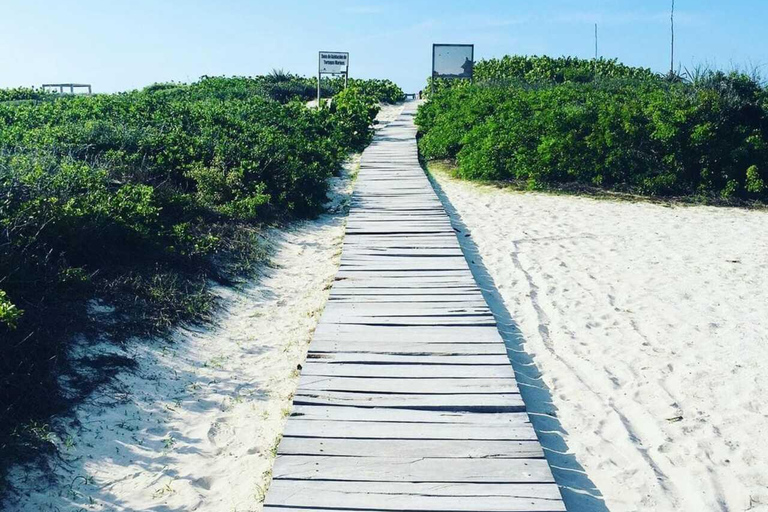 Excursión a Ría Lagartos, Coloradas y Playa CancúnitoMerida: Ria Lagartos, Coloradas &amp; Cancunito Beach Excursion