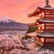 Tokyo : Mount Fuji Private Sightseeing Tour English Guide
