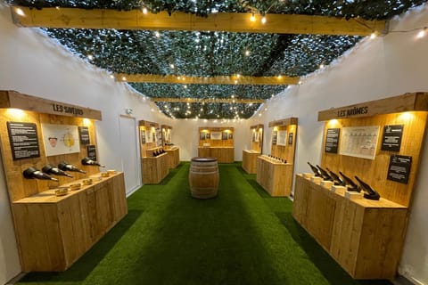 The Muscadet Experience: a fun sensory tour and tasting in Nantes