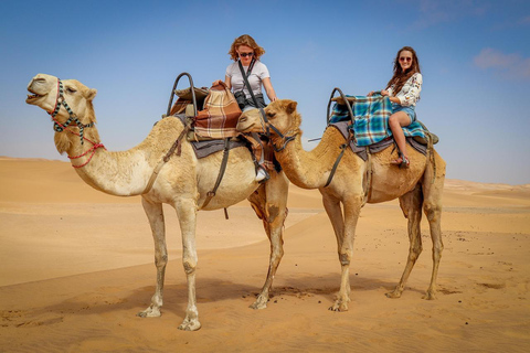 Doha Desert Long Camel Ride Experience on Dunes Private Long Camel Ride on Dunes