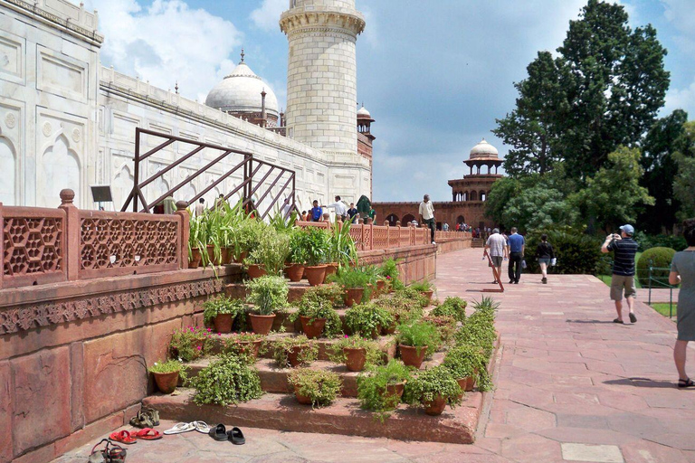 Z Delhi: 6-dniowa wycieczka po Złotym Trójkącie z RanthamboreWycieczka z samochodem + przewodnik + 4-gwiazdkowy hotel + prywatny jeep safari