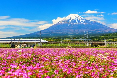 Vanuit Tokio: dagtour naar de berg Fuji, Lake Kawaguchi en YamanakaOntmoetingspunt JR Tokyo Station om 8:00 uur