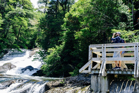 Bariloche: Puerto Blest e cascata Los CantarosPuerto Blest e Cascate di Cántaros - Con trasferimento