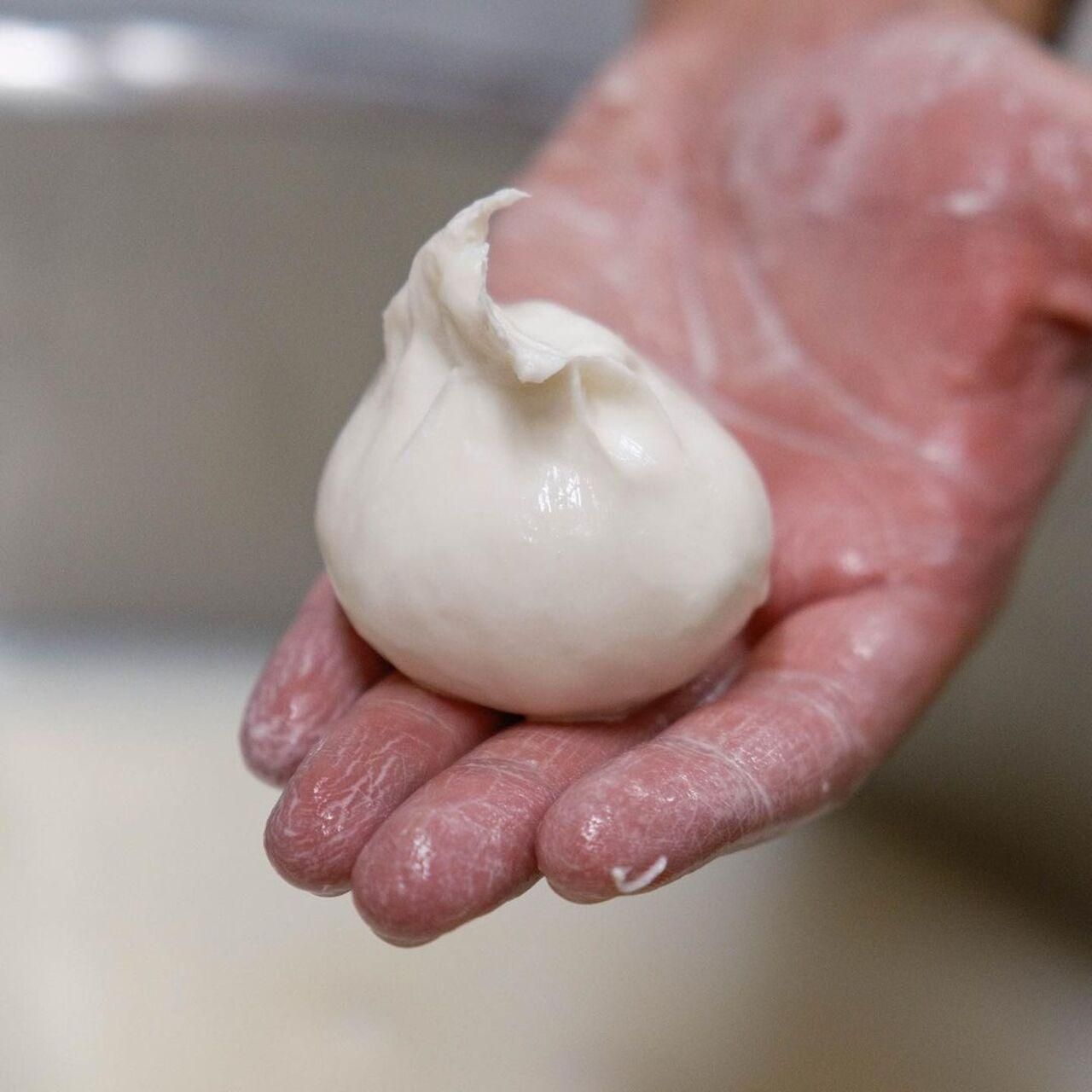 Apulien: Masseria Seppunisi Tour, Käse, Burrata Verkostung