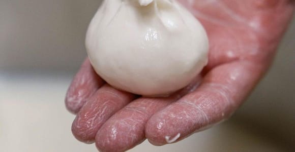 Apulia: Masseria Seppunisi Tour, Cheese, Burrata Tasting