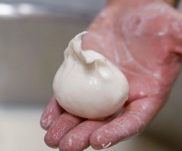 Puglia: Masseria Seppunisi Tour, Cheese, Burrata Tasting