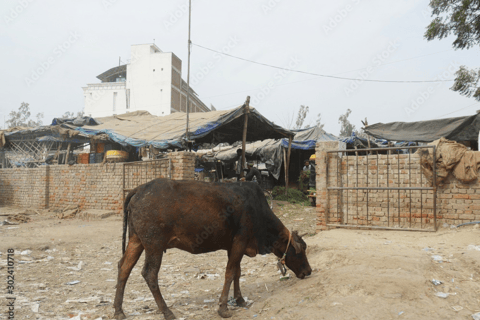 From Agra: Private Taj Mahal & Agra Village Guided Day Tour Tour With Processional Guide Only.