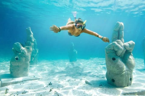 Cancun: Snorkeling Tour Reefs, Underwater Museum & Shipwreck