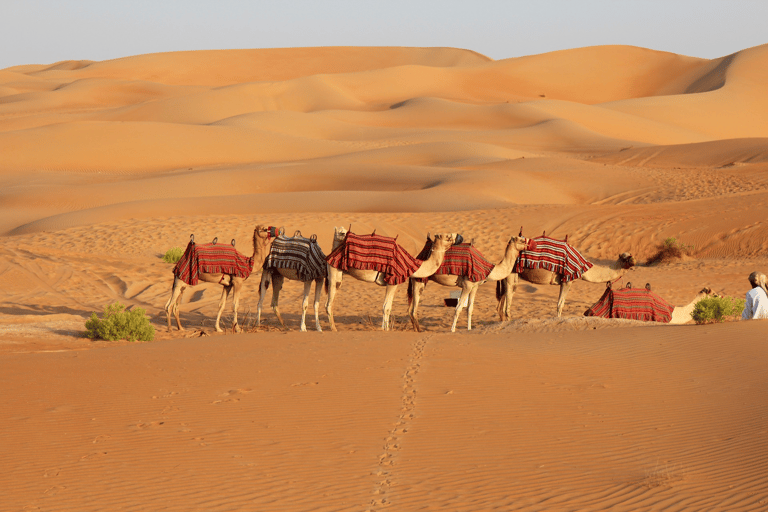 De Doha: Pernoite em um safári no deserto com jantar com churrasco