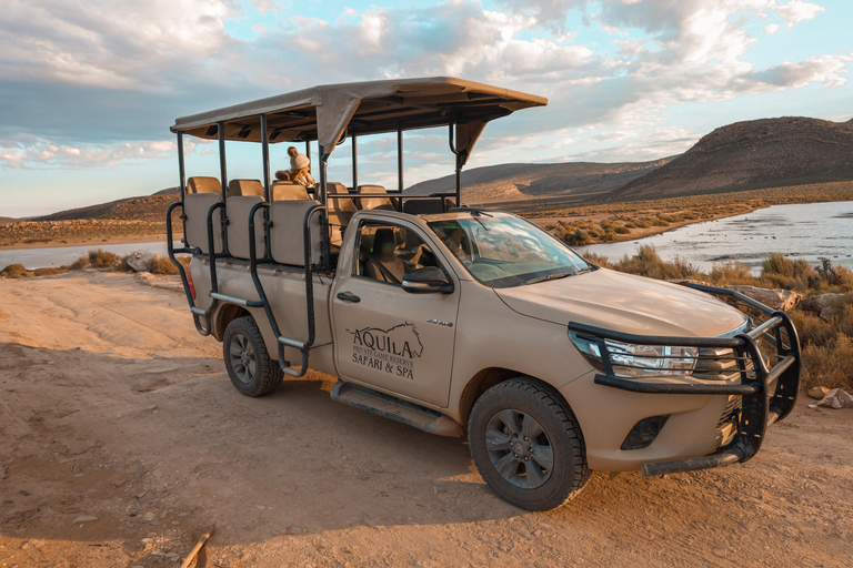 Big Five Safari und geführte Tagestour durch das Breede River Valley