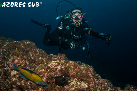 Sao Miguel Island: Scuba Dive for Certified Divers