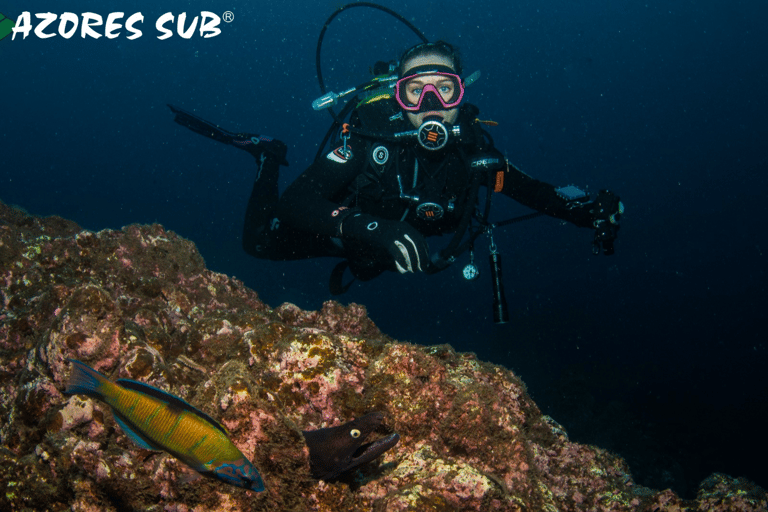 Sao Miguel Island: Scuba Dive for Certified Divers