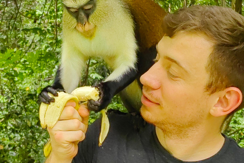 Mount Afadjato, Wli-fallet och Tafi Atome Monkey Sanctuary