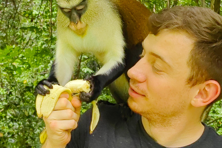 Mont Afadjato, chute de Wli et sanctuaire des singes de Tafi Atome