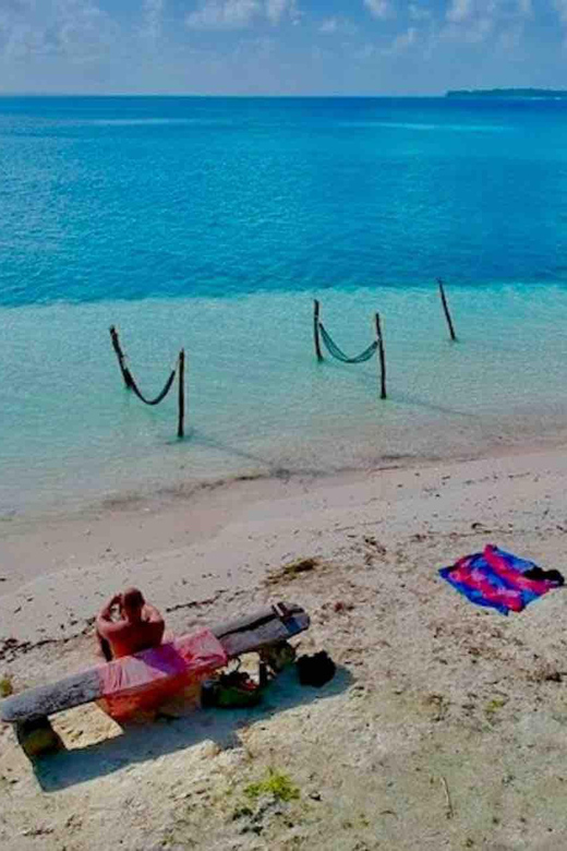 Galería de fotos para redes